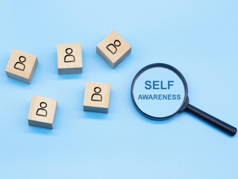 Hogan Personality Inventory (HPI): A Comprehensive Guide